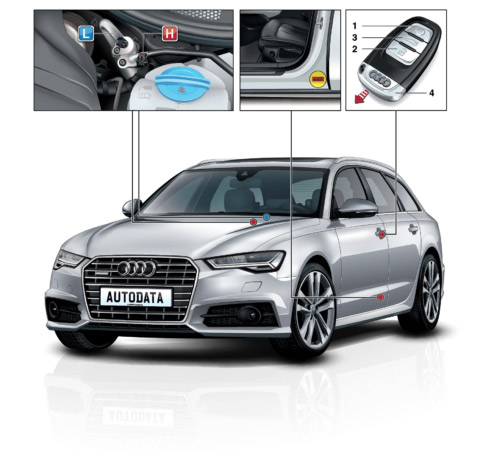 Autodata Diagnostika & Remont + Õppevideod